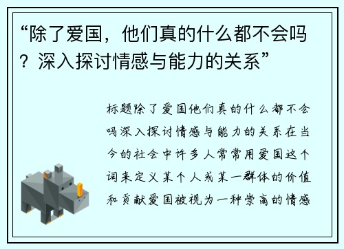 “除了爱国，他们真的什么都不会吗？深入探讨情感与能力的关系”