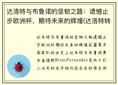 达洛特与布鲁诺的坚韧之路：遗憾止步欧洲杯，期待未来的辉煌(达洛特转会费)