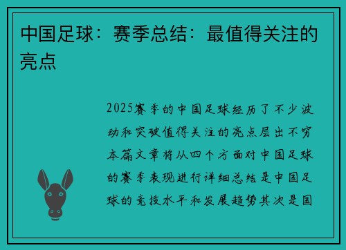 中国足球：赛季总结：最值得关注的亮点