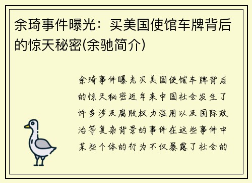 余琦事件曝光：买美国使馆车牌背后的惊天秘密(余驰简介)
